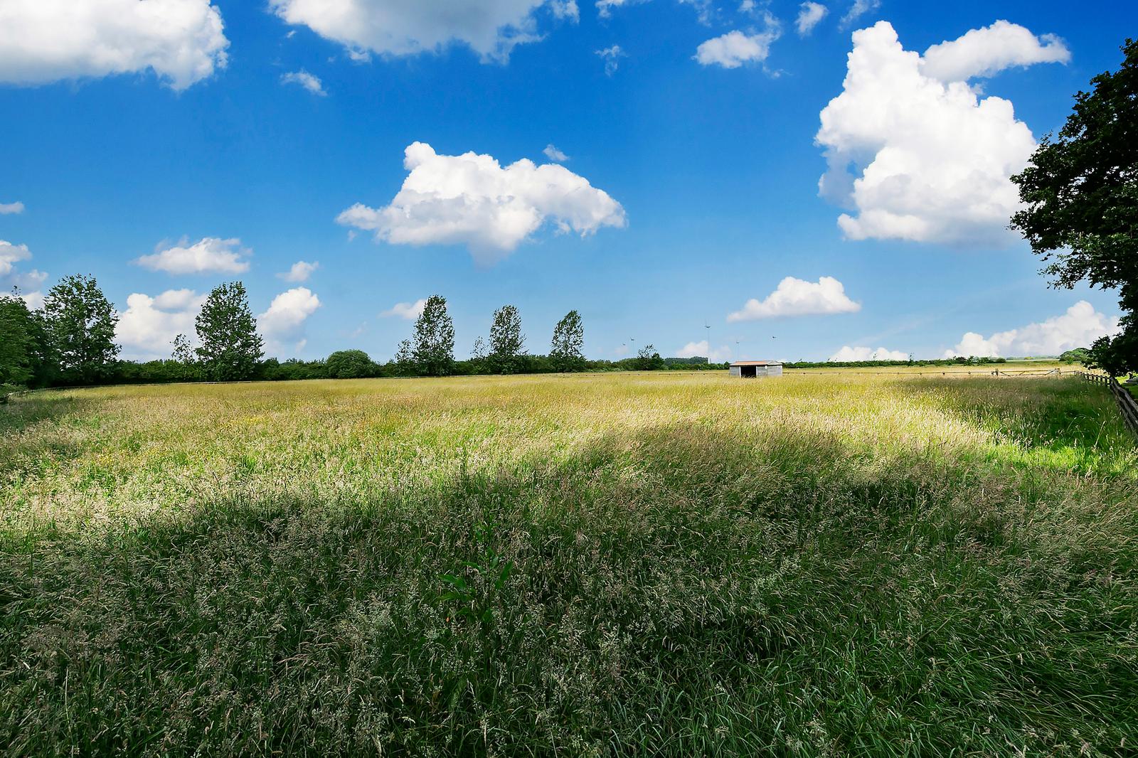Rural — Grazing licences & seasonal lets
